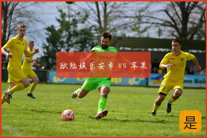 欧陆娱乐安卓 vs 苹果
